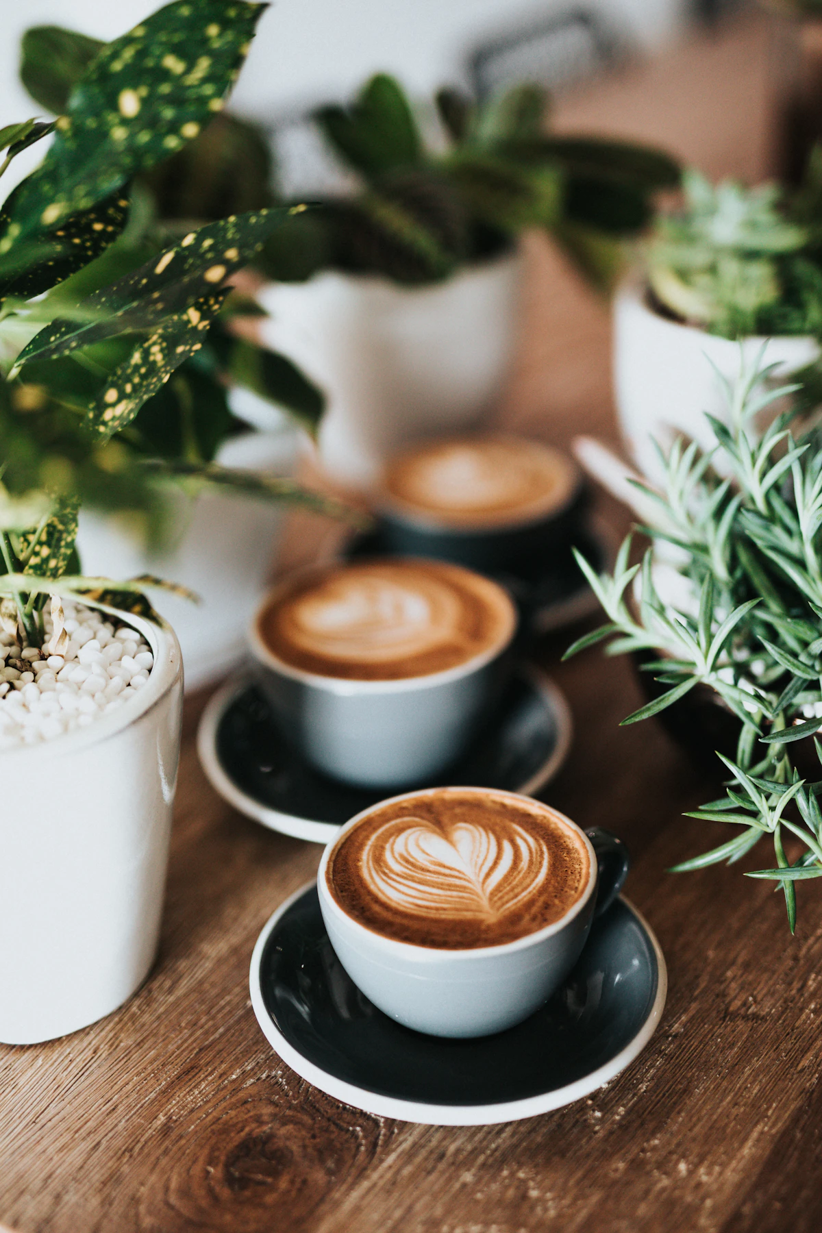 Cafeïne